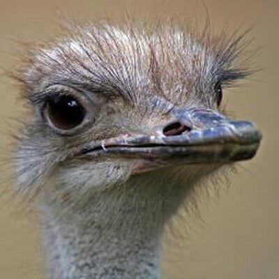 Profile Picture of Ken OConnor (@oconnor_ken1) on Twitter