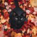 Profile Picture of Zachary Curtis (@zachary.curtis.7773) on Facebook