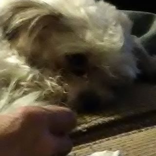 Profile Picture of Kevin Tedder (@kevin.tedder.12) on Facebook