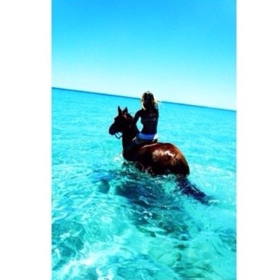 Profile Picture of •Sula&Kim• (@aquaombre) on Twitter