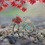 Profile Picture of Naila Ashfaq (@naila.ashfaq.3386) on Instagram