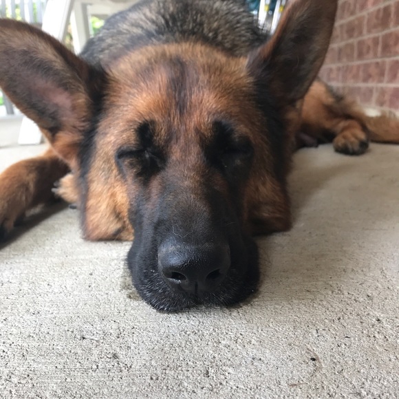 Profile Picture of Natalie Rotolo (@rotolon) on Poshmark