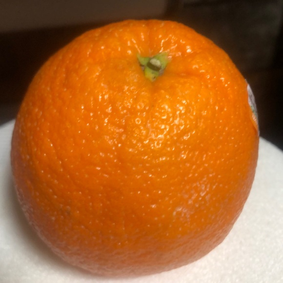 Profile Picture of Mensur Bakal (@bakal) on Poshmark