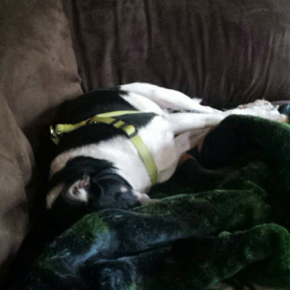 Profile Picture of Merridee Helmsummerville (@merridee) on Poshmark