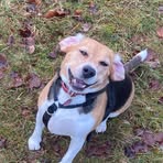 Profile Picture of Doreen Baxter (@Doreen-Baxter) on Facebook