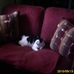 Profile Picture of James Demaria (@james.demaria.524) on Facebook