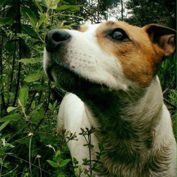 Profile Picture of Julian Escobar (@julan_93) on Poshmark