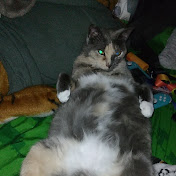 Profile Picture of Haley Joyce (@chloejoyce5643) on Youtube