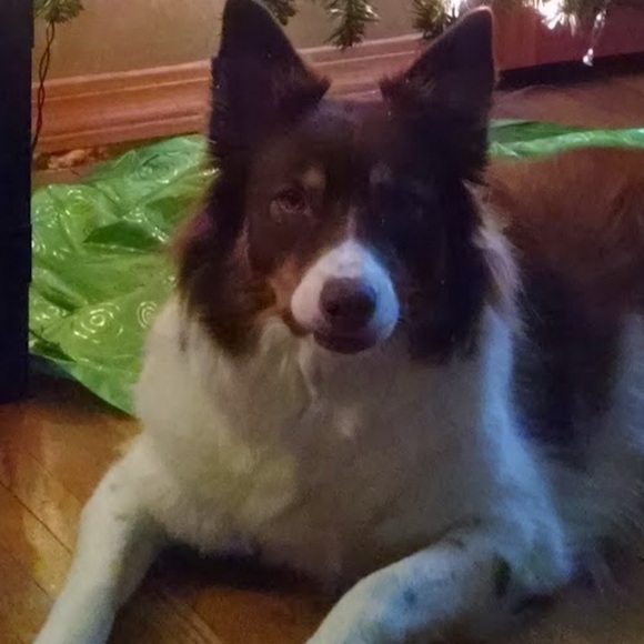 Ryan Wessels - Poshmark Profile Picture of Ryan Wessels (@rpwess) on Poshmark