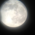 Profile Picture of derekmerrill (@derekmerrill) on Instagram