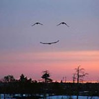 Profile Picture of Mark Vallie (@mark-vallie) on Quora