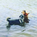 Addison - Instagram Profile Picture of Addison (@addison_.richardson) on Instagram