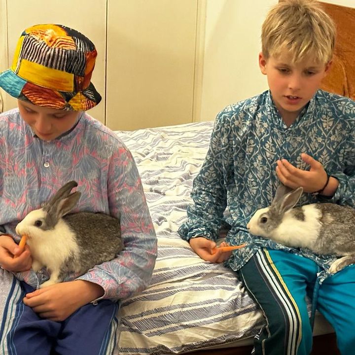 Profile Picture of John’s second account (@johngrimston2) on Tiktok