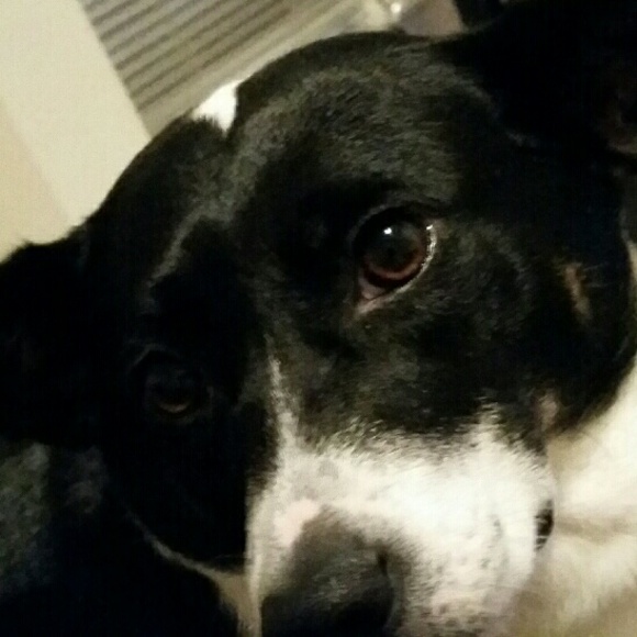 Profile Picture of The Upham (@theuphams) on Poshmark