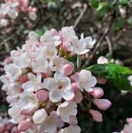 Profile Picture of David Christine Brackley (@david.brackley.58) on Facebook