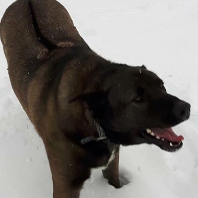 Profile Picture of Justin (@mcduff9733) on Twitter