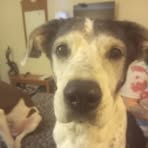 Profile Picture of Jared Danley (@Jared-Danley) on Facebook