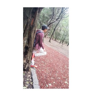 Profile Picture of Bryan Bahena (@BryanBahena4) on Twitter