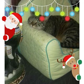 Profile Picture of Eric Mouton (@eric.mouton.9212) on Facebook