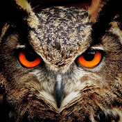 Profile Picture of Mark Gibson (@markgibson8409) on Youtube