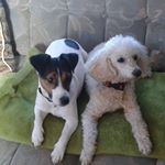 Profile Picture of Barry Swift (@barry.swift.31) on Instagram