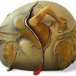 Profile Picture of Samy El-Sayed (@sam_gendy777) on Instagram