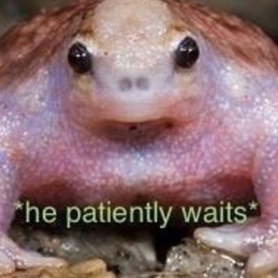 Profile Picture of Heidi Irvine (@heidi_irvine) on Twitter