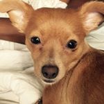 Profile Picture of Tobi Michelle Wilson (@tobi_michelle_1) on Instagram