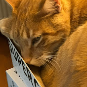 Jose L Riesco - Youtube Profile Picture of Jose L Riesco (@joselriesco7621) on Youtube