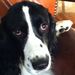 Profile Picture of Haley McNulty (@haley3738) on Pinterest