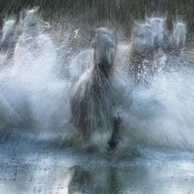 Profile Picture of Glenn Alonzo (@33glenns) on Twitter