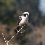 Profile Picture of Amy Dozier (@amydoz) on Flickr