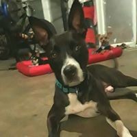 Profile Picture of Mandy Conway (@mandy-conway-6) on Quora