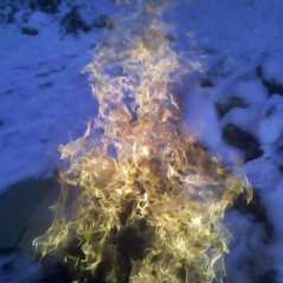 Profile Picture of Tad Eley (@earspork) on Twitter