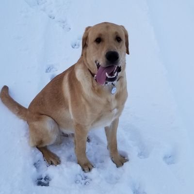 Profile Picture of Scott Hawkinson (@scott_hawkinson) on Twitter