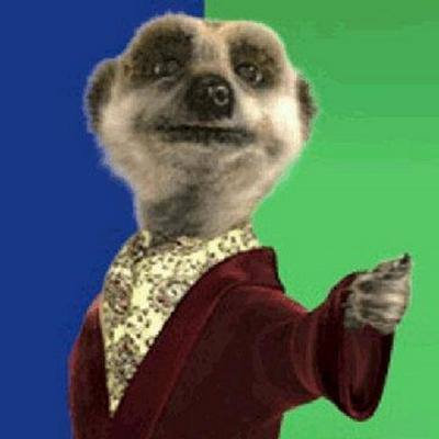 Profile Picture of Roy Squire (@squire_roy) on Twitter