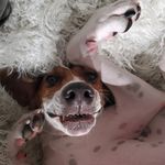 Profile Picture of julia cook (@juliac00lia) on Instagram