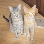 Profile Picture of JUANITO & JAVIER 💙💙 (@juanito_chamorro) on Instagram