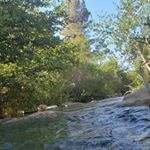 Gerardo (Allen) Sedano - Instagram Profile Picture of Gerardo (Allen) Sedano (@gerry0812_) on Instagram