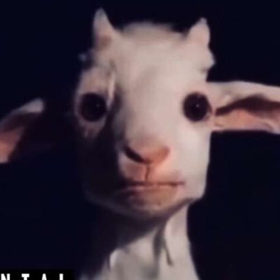 Profile Picture of James Deas (@JamesDeas14) on Twitter