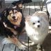 Profile Picture of Lisa Arsenault (@lisa.arsenault.3950) on Facebook