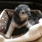 Profile Picture of Robin Aikens (@robinaikens76) on Instagram