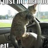 Profile Picture of Brandon Prall (@brandon.prall.16) on Facebook