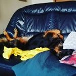 Profile Picture of Jon Maurice Zühlke (@jonmauricezuhlke) on Instagram