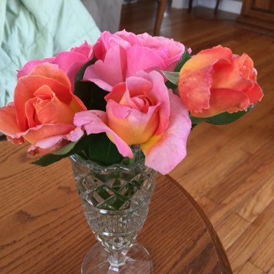 Profile Picture of Chris Winkelman (@mpngirl) on Twitter