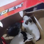 Profile Picture of Lucelly Alvarez (@Lucelly-Alvarez) on Facebook