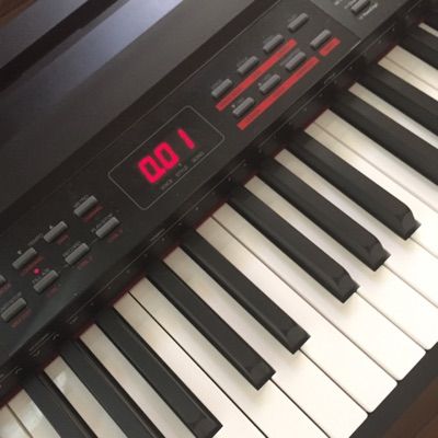 Profile Picture of Dave Papile (@davepapile) on Tiktok