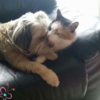 Profile Picture of Pam Rice Duran (@pam-rice-duran) on Quora