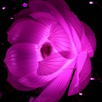 Profile Picture of Inna Rudenko (@innrudenk) on Twitter