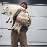 Brian Kopejtka - Instagram Profile Picture of Brian Kopejtka (@briankopejtka) on Instagram